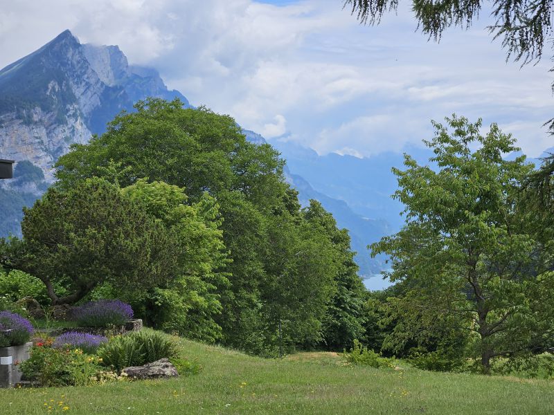 Grandiose Aussicht & gesunde Bergluft für Sporttreibende 